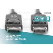 2.0m DisplayPort v1.2 Plug to Plug High Quality Cable